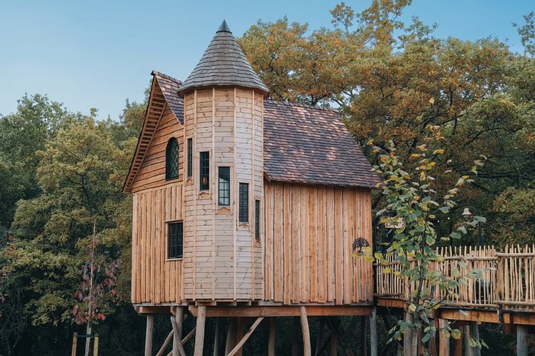 Treelodge avec sauna dans les Ardennes - 1