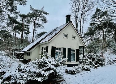 Cozy cottage in the forest - 2