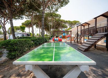 Glampingtent aan het strand met sanitair - 31