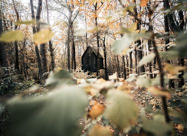 Stimmungsvolle Waldhütte in den Ardennen - 16
