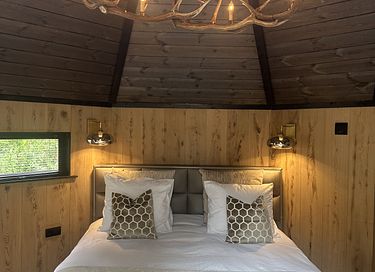 Luxury forest cabin with private jacuzzi - 9