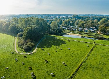 Wellnesshuisje in Overijssel - 19