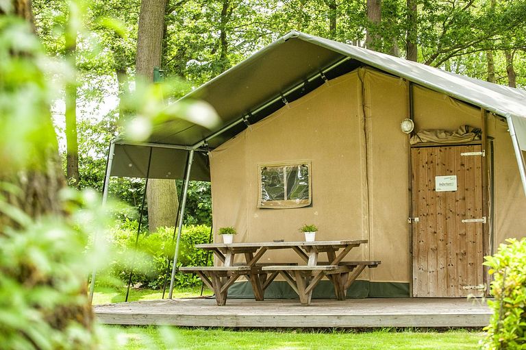 Glamping in the Achterhoek (dog allowed) - 1