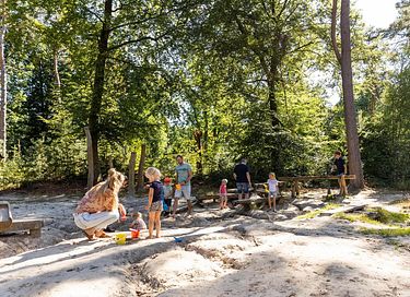 Bungalow met sauna in Drenthe - 18