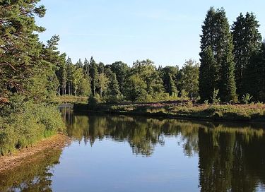 Lodge mit Sauna direkt am Wasser - 28