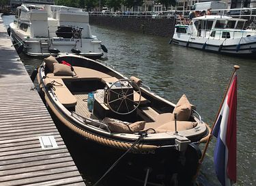 Unieke theekoepel direct aan de Vecht - 26