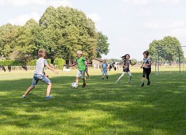 Glamping op knusse koeienboerderij - 2