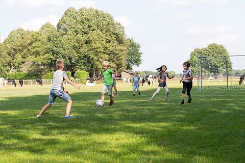 Glamping op knusse koeienboerderij - 2