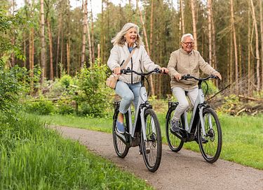Rolstoeltoegankelijke wellness villa (12p) - 36