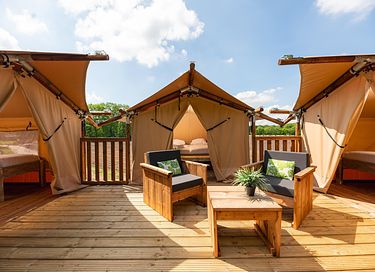 Treehouse tent on height (6p) - 10