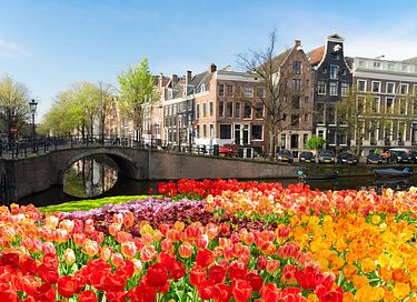 Stylish stay in the heart of Amsterdam - 33