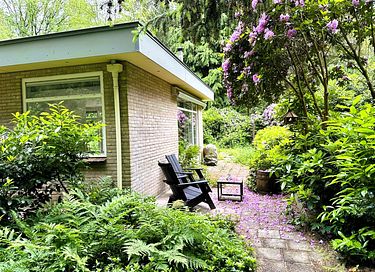 Waldhaus in Drenthe mit Kamin und großem Garten - 7