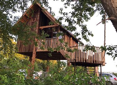 Maison dans les arbres à Overijssel au bord d'une rivière - 17