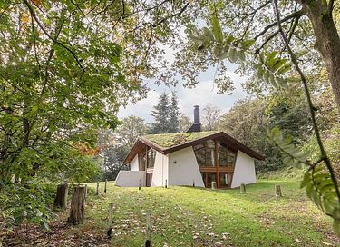 Design bungalow (8p) in bosrijke omgeving - 2