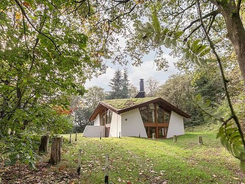 Design bungalow (8p) in bosrijke omgeving - 2