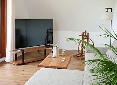Ruim penthouse met privé wellness en balkon - 5