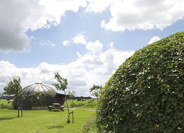 Special stay in a thatch igloo - 14