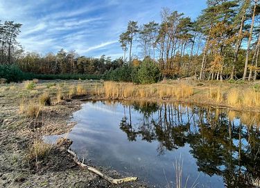 Tiny House mit Whirlpool auf der Veluwe - 48