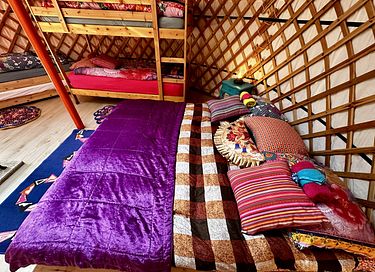 Yourte colorée dans un camping écologique à Groningue - 3