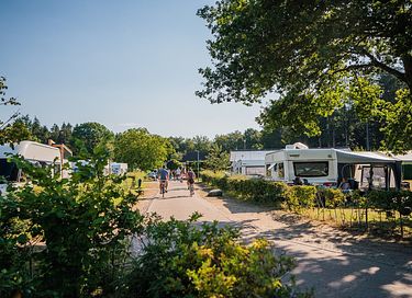 Unieke Glamping ervaring in Drenthe - 13