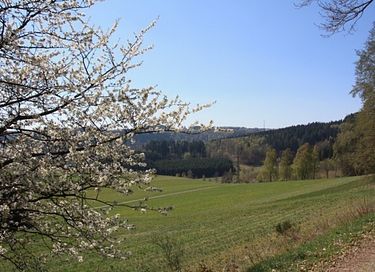 Appartement familial spacieux dans la forêt du Sauerland - 16