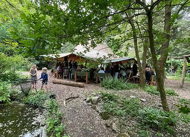 Sterren kijken vanuit je bed in deze glamping - 12