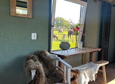 Tiny house op het platteland - 2