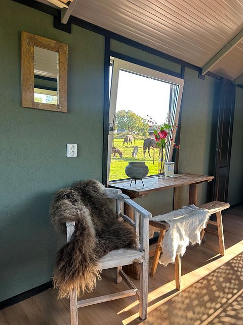 Tiny house op het platteland - 2