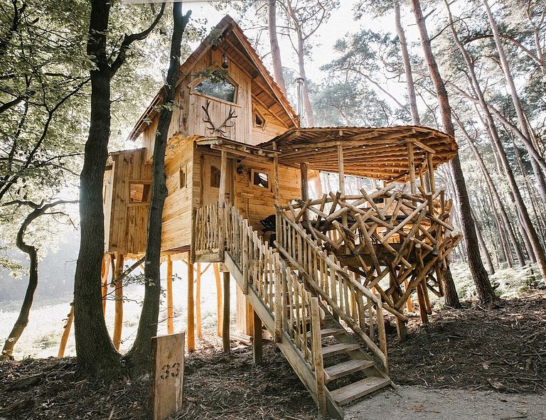 Prachtige boomhut in de Belgische natuur - 1