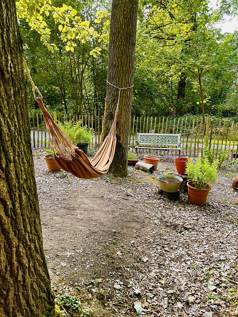 Gemütliche Waldhütte mit großem Garten in der Nähe von Ypern - 3