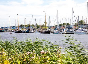 Huisje aan het Lauwersmeer met uitzicht - 18