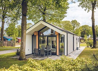 Groen vakantiehuisje op park in Gelderland - 2