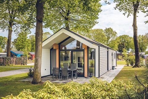 Groen vakantiehuisje op park in Gelderland - 2