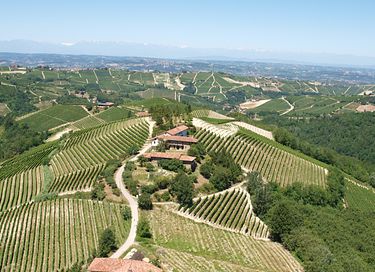 ferienwohnungen mit blick auf die weinberge - 2