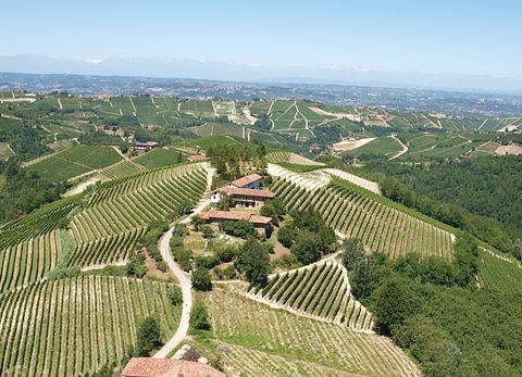 ferienwohnungen mit blick auf die weinberge - 2