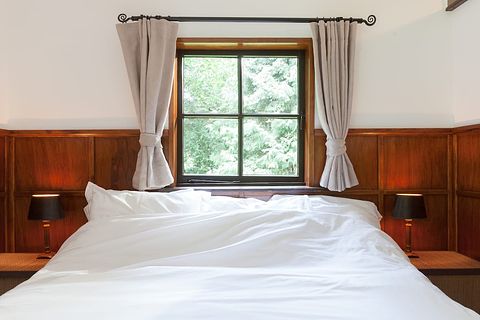 Romantic forest cottage on Veluwe estate - 3
