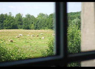 B&B in beautiful Limburg castle - 23