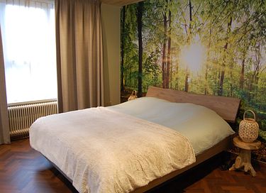 Unieke B&B in oud gemeentehuis in Zeeland - 7