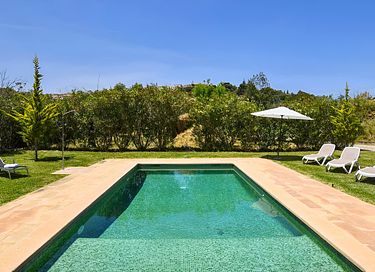 Groen vakantiehuis met veel privacy  - 9