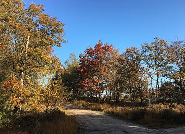 Knus boshuisje midden in de Veluwe - 25