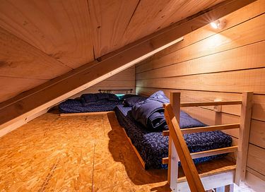 Unique stay in Drenthe (dogs allowed) - 12