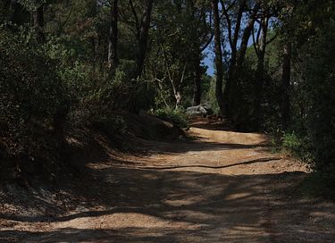 Natuurcabin aan kust Barcelona met zeezicht - 53