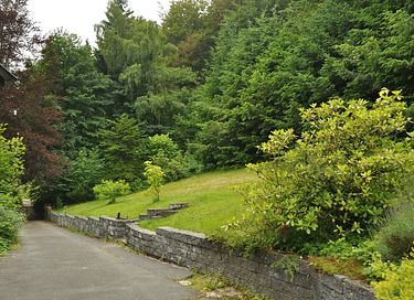 Villa privée au milieu de la forêt en Allemagne - 29