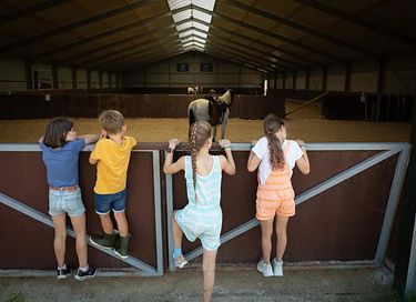Glamping op een paardenboerderij - 11