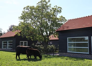 Modern and luxuriously converted henhouse - 2