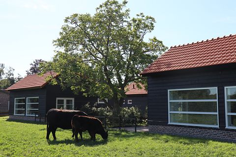 Modern and luxuriously converted henhouse - 2