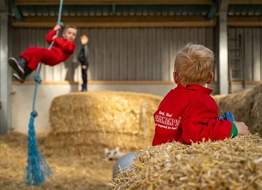 Glamping op een boerderij in Friesland - 8