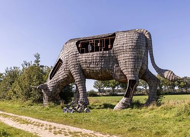 Ferienhaus (4p) mit Wellness in Brabant - 28