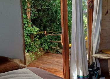 Tiny House in the Eifel - 11