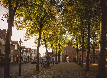 Boutique B&B in historisch centrum Harderwijk - 23